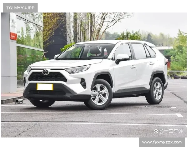 丰田20万品质的SUV,才卖6万多,一公里3毛,20年开不坏 丰田20万品质的SUV,才卖6万多,一公里3毛,20年开不坏
